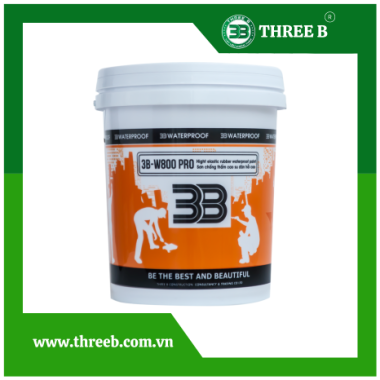 3B-W800 PRO SƠN PU CHỐNG THẤM ĐÀN HỒI CAO (GỐC ACRYLIC CẢI TIẾN POLYURETHANE)