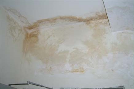 chống thấm tường nhà